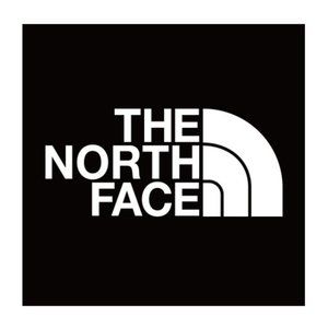 The North Face Adventure Awaits Purple Grey Baseball Tee Size Small